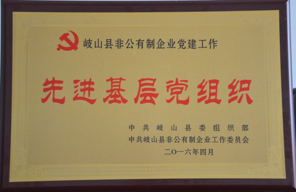 通運集團黨總支榮獲由岐山縣委組織部、縣非公黨建委員會授予的“先進基層黨組